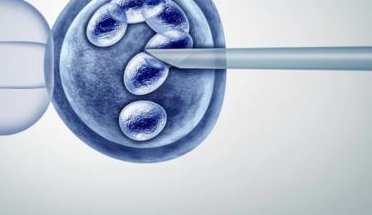 第三代试管婴儿胚胎活检