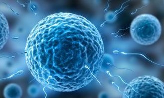 美国试管婴儿价格高吗？这篇文章告诉你要花多少钱？