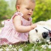 2026年潍坊不需要结婚证三代试管婴儿医院盘点