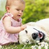 重度宫腔粘连在江阴市做试管婴儿靠谱吗？重度宫腔粘连试管婴儿成功率多少