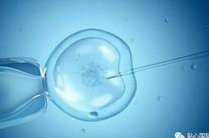 国内公立医院做试管助孕的详细流程，满足条件才能助孕哦