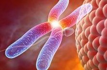 国内试管婴儿医院排名公布，看完便知如何选择