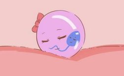 整个试管婴儿周期要多长时间，2026年试管婴儿流程步骤一览