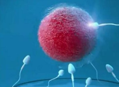 从江苏去乌克兰做试管一共需要多少钱？